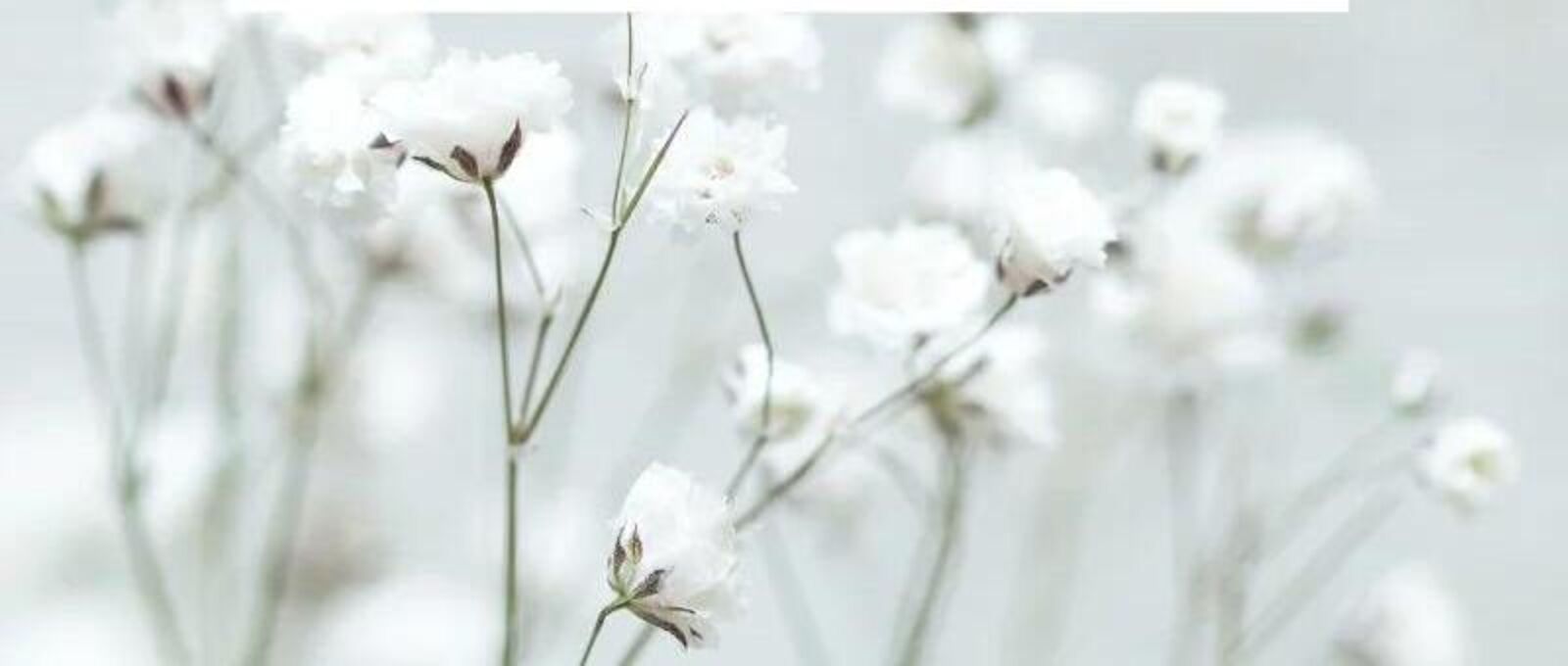 Floral farm background