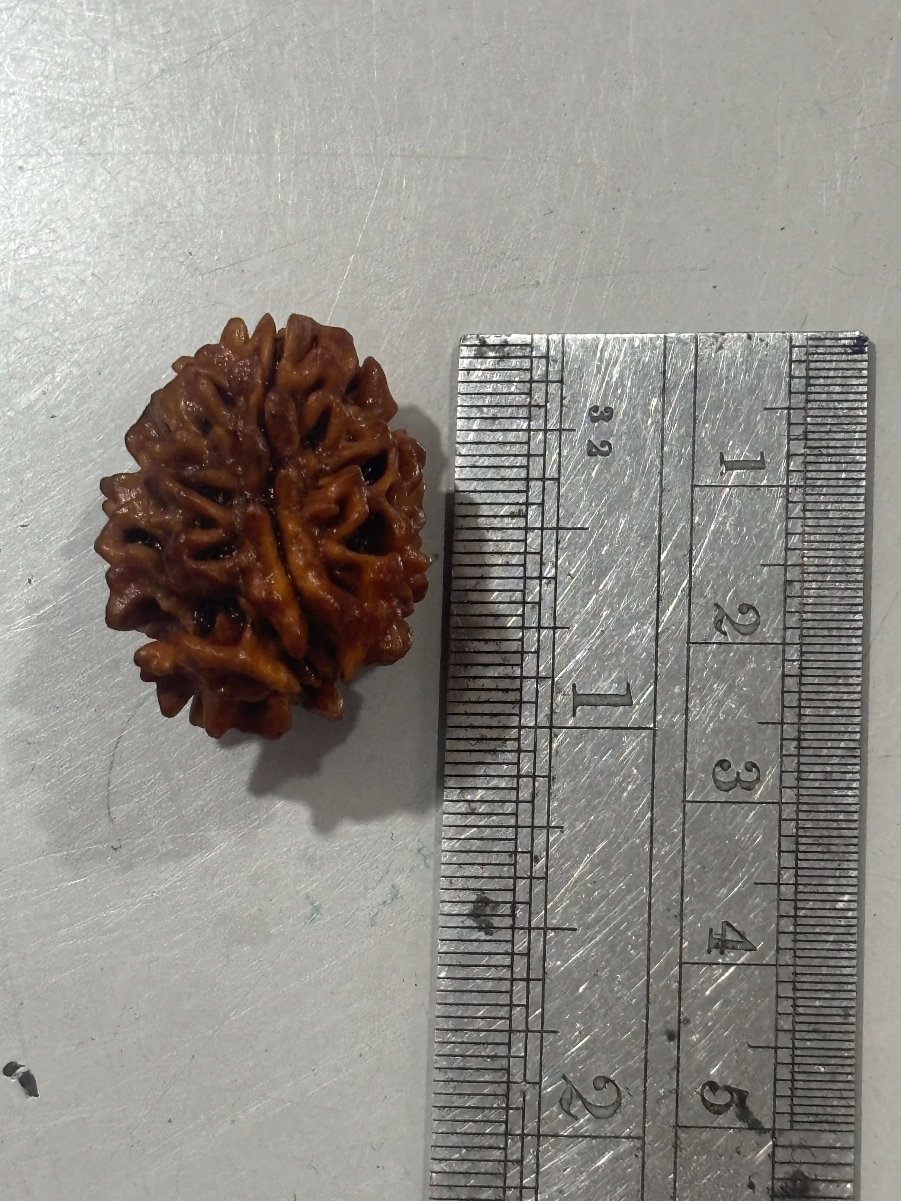 Rudraksh beads